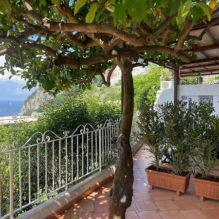 Appartamento Casa Reale *